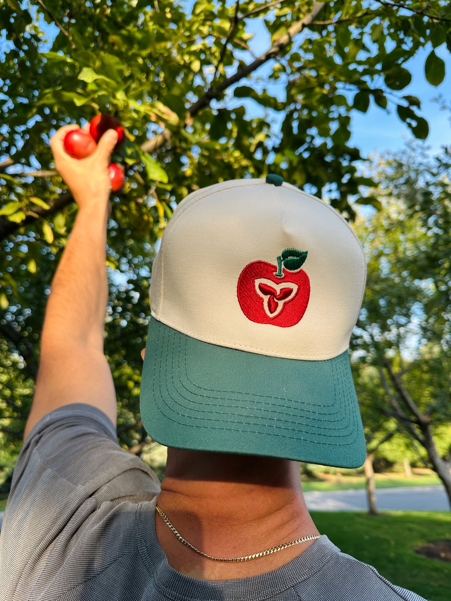 Ontario Apple Hat